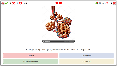Archivo:O146.png