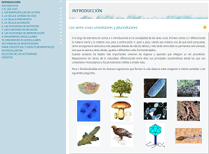 Archivo:Olg040.png
