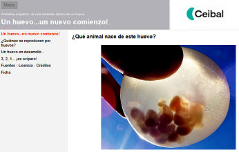 Archivo:Ol905.png