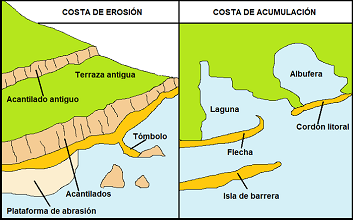 Archivo:Olga576.png