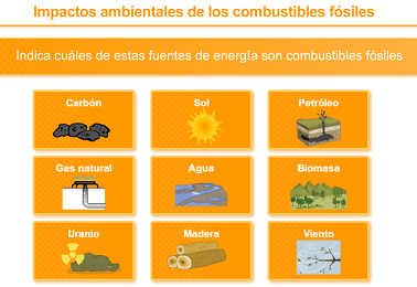 Archivo:Olg305.png
