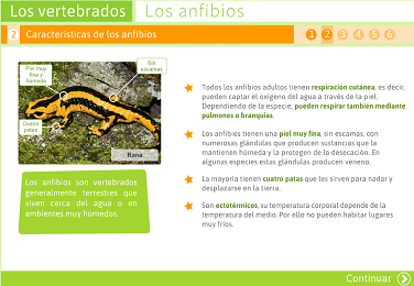 Archivo:Olg317.png