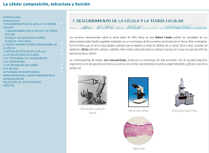 Archivo:Olg042.png