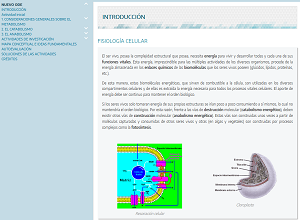 Archivo:Olg065.png