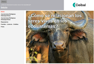 Archivo:Ol887.png