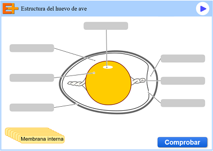 Archivo:Olga744.png