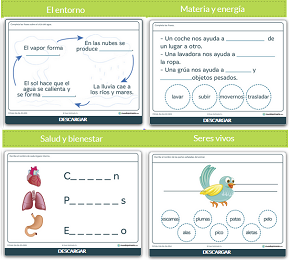 Archivo:Olga370.png