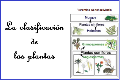 Archivo:Olga852.png