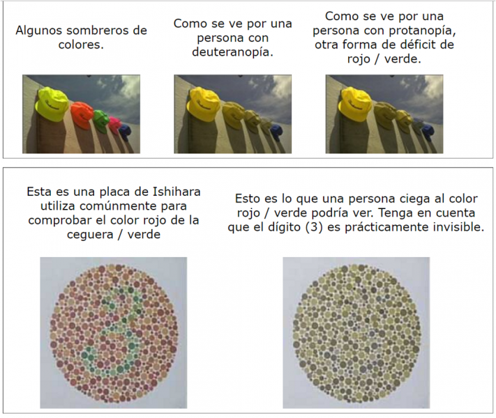 Archivo:Simulacion1.png