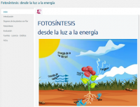 Ol881.png